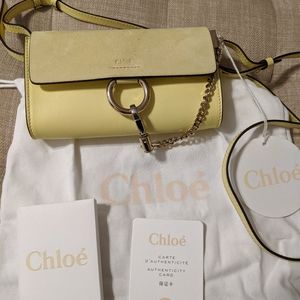 Authentic mini Chloe Faye bag.